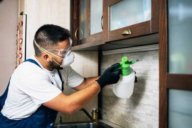 Best Local Pest Control Services  in Oak Grove, AL