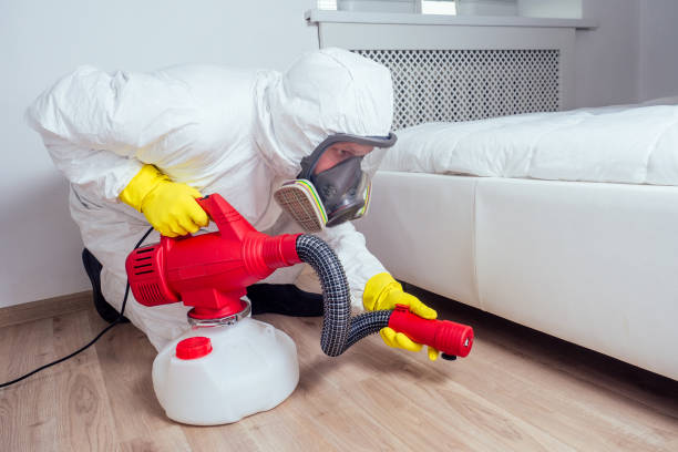 Best Affordable Pest Control Services  in Oak Grove, AL