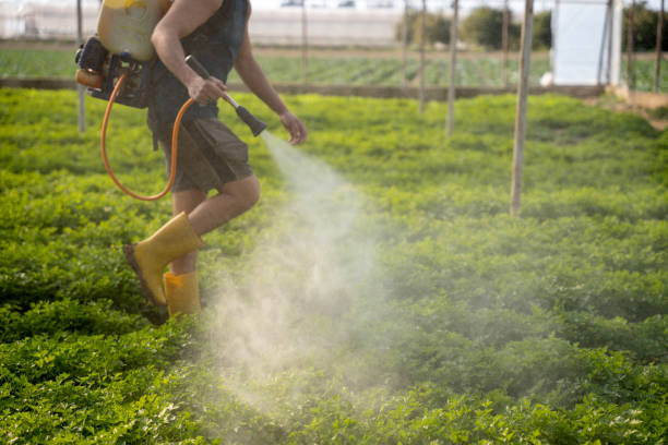 Best Mosquito Control Services  in Oak Grove, AL
