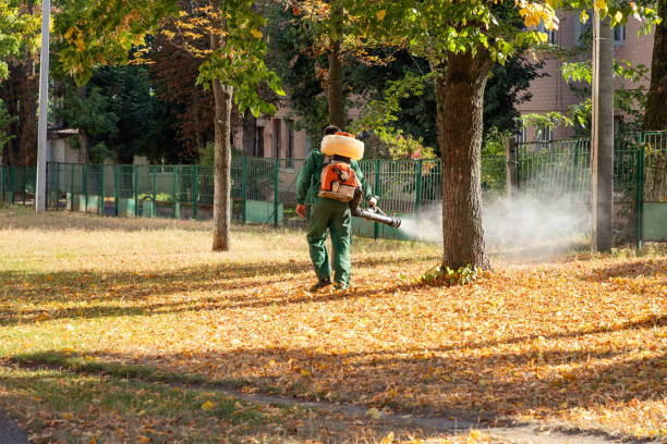 Best Cockroach Control Services  in Oak Grove, AL