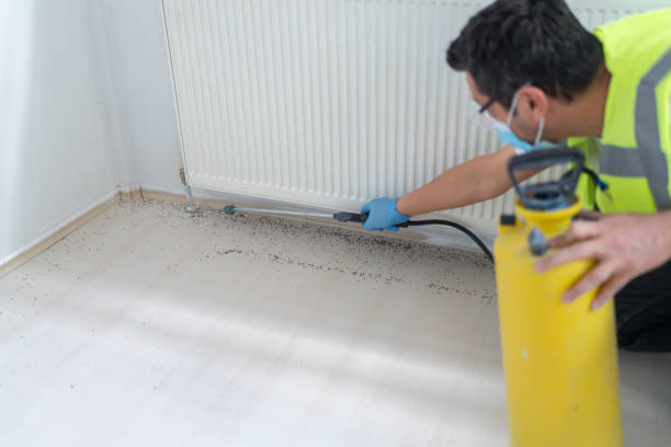 Best Cockroach Control Services  in Oak Grove, AL