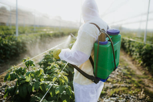 Best Pest Prevention Services  in Oak Grove, AL